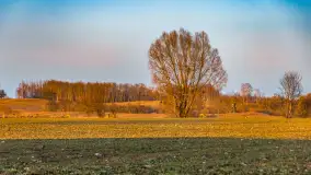 Zachód słońca na Fuledzie, jezioro Dobskie, marzec 2025 r. - zdjęcie 24