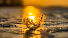 Zachód słońca na Fuledzie, jezioro Dobskie, marzec 2025 r. - zdjęcie 7