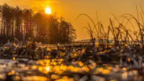 Zachód słońca na Fuledzie, jezioro Dobskie, marzec 2025 r. - zdjęcie 1