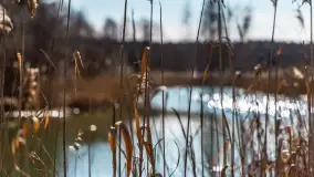 Jaz w Kwiku, marzec 2025r. - zdjęcie 5