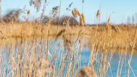 Jaz w Kwiku, marzec 2025r. - zdjęcie 24