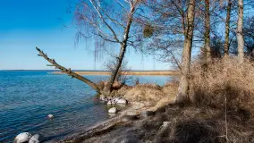 Półwysep Szeroki Ostrów, marzec 2025r. - zdjęcie 9