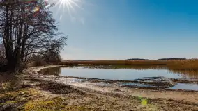 Półwysep Szeroki Ostrów, marzec 2025r. - zdjęcie 13