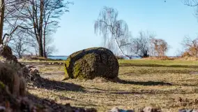 Półwysep Szeroki Ostrów, marzec 2025r. - zdjęcie 24