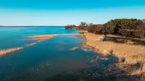 Półwysep Szeroki Ostrów, marzec 2025r. - zdjęcie 38