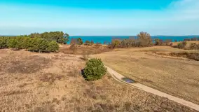 Półwysep Szeroki Ostrów, marzec 2025r. - zdjęcie 32