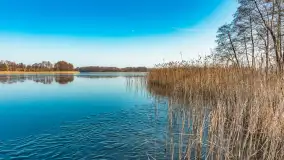 Plaża w Kleszczewie i jezioro Wojnowo, marzec 2025 r. - zdjęcie 14