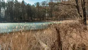 Plaża w Kleszczewie i jezioro Wojnowo, marzec 2025 r. - zdjęcie 27