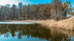 Plaża w Kleszczewie i jezioro Wojnowo, marzec 2025 r. - zdjęcie 8