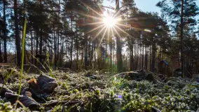 Pole biwakowe nad jeziorem Śniardwy. Okartowo, marze  2025r. - zdjęcie 13