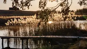 Zachód słońca nad Bindugą Zimny Kąt, marzec 2025r. - zdjęcie 3