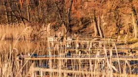 Zachód słońca nad Bindugą Zimny Kąt, marzec 2025r. - zdjęcie 24