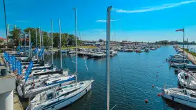 Mix ujęć z sezonu 2024 Michała cz. I - zdjęcie 28