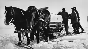 Przedwojenne zdjęcia jeziora Niegocin (niem. Löwentinsee) - zdjęcie 36