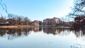 Słoneczny Ryn pod koniec marca - zdjęcie 40