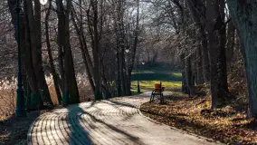 Słoneczny Ryn pod koniec marca - zdjęcie 24