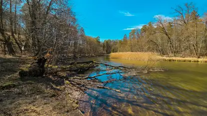 Rezerwat Przyrody Krutynia na wiosennych ujęciach, kwiecień 2025 r.