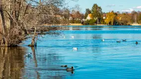 Wiosna w Mrągowie, końcówka marca 2023 r. - zdjęcie 85