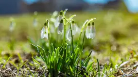 Wiosna w Mrągowie, końcówka marca 2023 r. - zdjęcie 45