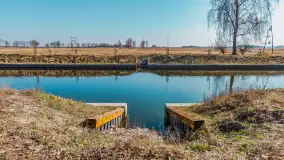 Kanał Grunwaldzki i szukanie wiosny przed sezonem 2025 - zdjęcie 39