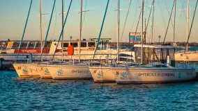 Zachód słońca w AZS Wilkasy, kwiecień 2025 r. - zdjęcie 5