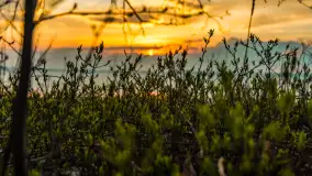 Zachód słońca nad jeziorem Niegocin, Bystry, dzika plaża, kwiecień 2025 - zdjęcie 15