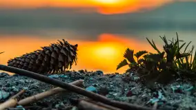 Zachód słońca nad jeziorem Niegocin, Bystry, dzika plaża, kwiecień 2025 - zdjęcie 18