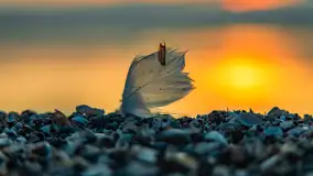 Zachód słońca nad jeziorem Niegocin, Bystry, dzika plaża, kwiecień 2025 - zdjęcie 2