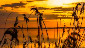 Relaksujący, kwietniowy zachód słońca nad jeziorem Dargin - zdjęcie 10