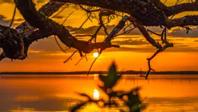 Relaksujący, kwietniowy zachód słońca nad jeziorem Dargin - zdjęcie 5