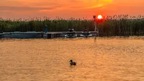 Zachód słońca w Ogonkach, port 69, czerwiec 2025 r. - zdjęcie 22