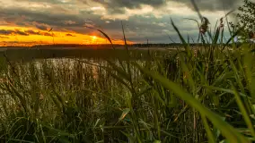 Wietrzny ale jednak zachód słońca w Ogonkach, czerwiec 2025 r. - zdjęcie 18