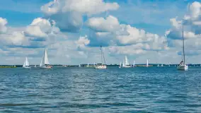 Jezioro Niegocin widziane z Wilkas, lipiec 2025 r. - zdjęcie 2