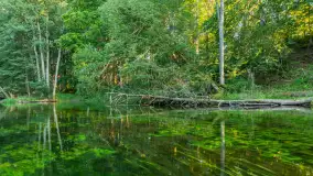 Popołudniowy spływ na Krutyni, sierpień 2025 r. - zdjęcie 60