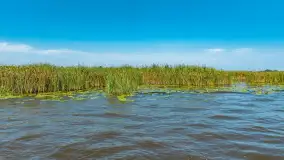 Mazurski szlak z wody, sierpień 2025 r., cz. III - zdjęcie 11