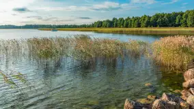 Jezioro Mamry w okolicach Węgorapy, sierpień 2025 r. - zdjęcie 14