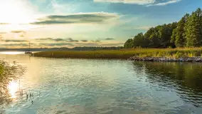 Jezioro Mamry w okolicach Węgorapy, sierpień 2025 r. - zdjęcie 19