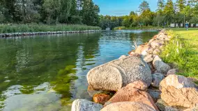 Jezioro Mamry w okolicach Węgorapy, sierpień 2025 r. - zdjęcie 15