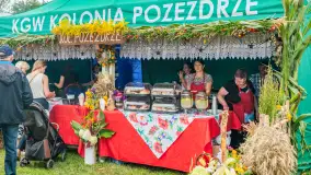 Dożynki Parafialno‑Gminne w Pozezdrzu, sierpień 20225 r. - zdjęcie 41