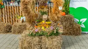 Dożynki Parafialno‑Gminne w Pozezdrzu, sierpień 20225 r. - zdjęcie 39