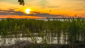 Zachód słońca nad jeziorem Śniardwy, Szeroki Ostrów, czerwiec 2025 r. - zdjęcie 23