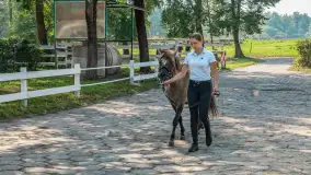 Fotorelacja - 70 lat konika polskiego w Popielnie – jubileuszowe spotkanie - zdjęcie 47