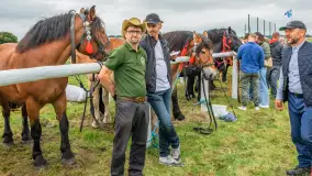 Sulimiada 2025 – przegląd źrebiąt i rodzinny piknik w Sulimach - zdjęcie 8
