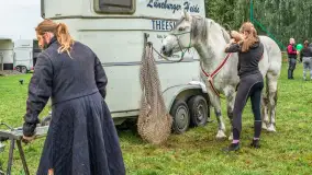 Sulimiada 2025 – przegląd źrebiąt i rodzinny piknik w Sulimach - zdjęcie 82