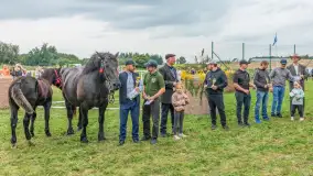 Sulimiada 2025 – przegląd źrebiąt i rodzinny piknik w Sulimach - zdjęcie 126