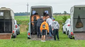 Sulimiada 2025 – przegląd źrebiąt i rodzinny piknik w Sulimach - zdjęcie 113