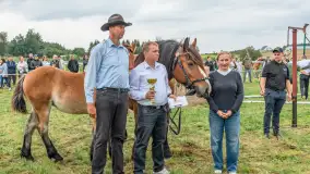 Sulimiada 2025 – przegląd źrebiąt i rodzinny piknik w Sulimach - zdjęcie 117