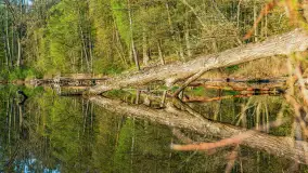 Wiosenne kadry o wschodzie słońca na Bełdanami, kwiecień 2025 r. - zdjęcie 13