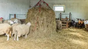 Fotorelacja z IV Redyku Mazurskiego, 04 października 2025 r. - zdjęcie 67