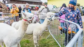 Fotorelacja z IV Redyku Mazurskiego, 04 października 2025 r. - zdjęcie 18
